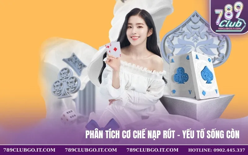 Phân tích cơ chế nạp rút – Yếu tố sống còn