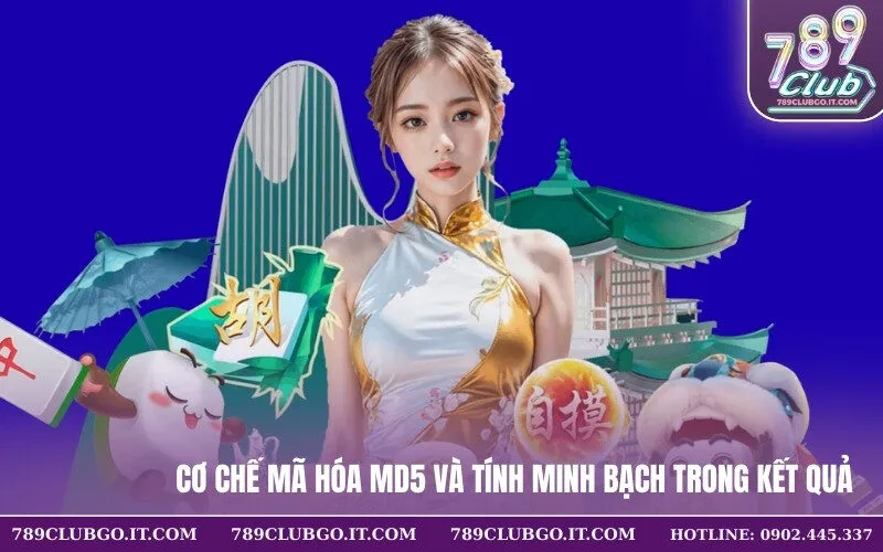 Cơ chế mã hóa MD5 và tính minh bạch trong kết quả